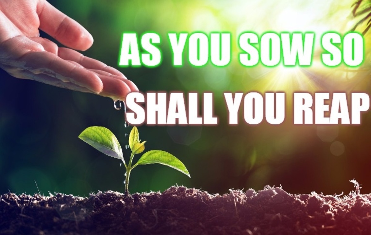 As You Sow So Shall You Reap